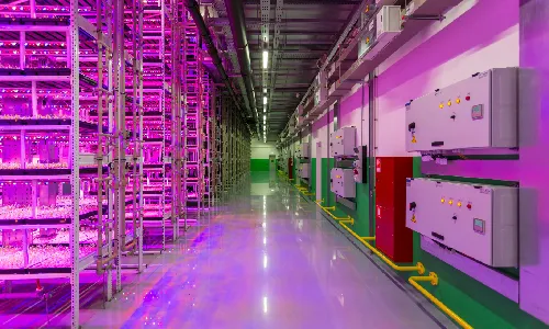 Irish Data Center Disaster